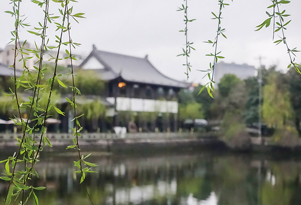 ���մ���