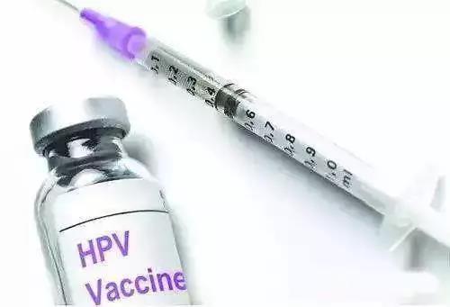2żHPV26ʵԤԼ