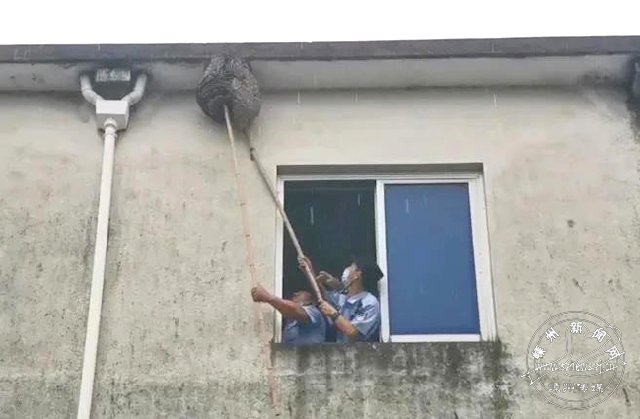 񾯳