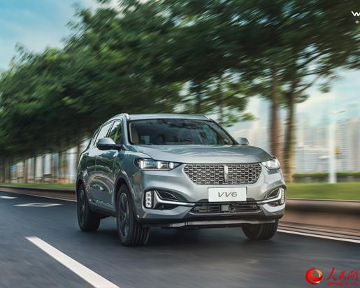 2021WEY VV6 