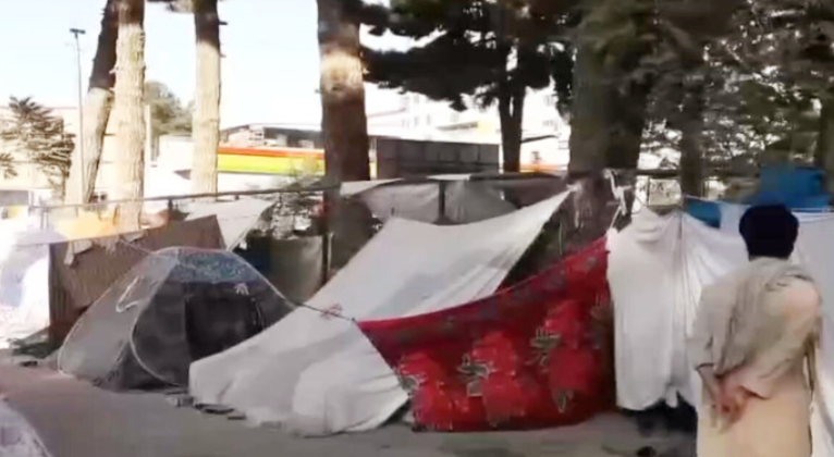 ʵ���߷ÿ����� һ������ �������ı��벻��